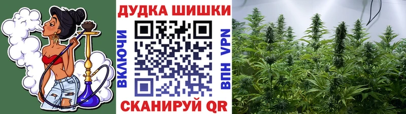 Купить где  Сясьстрой  Бошки Шишки тримм 